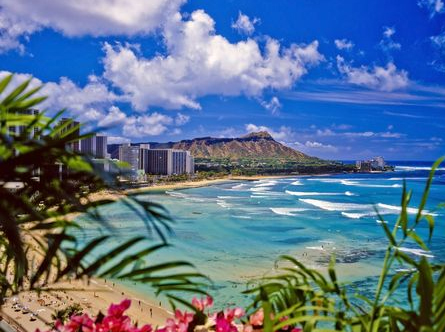 ハワイに行けるの？