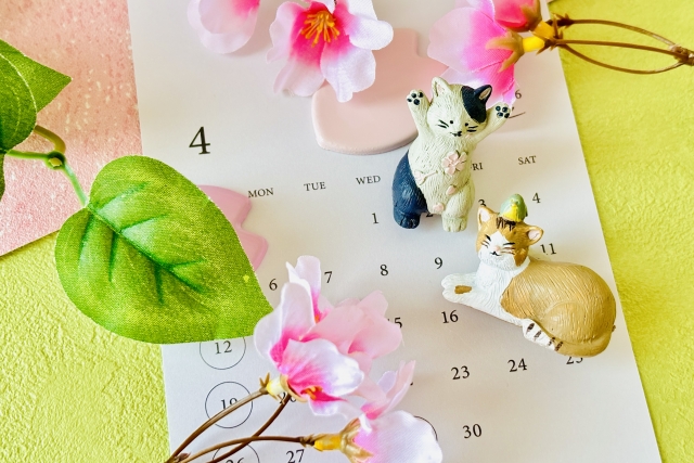 昭和の日ってどんな日？そして季節は初夏へ🌿☀️