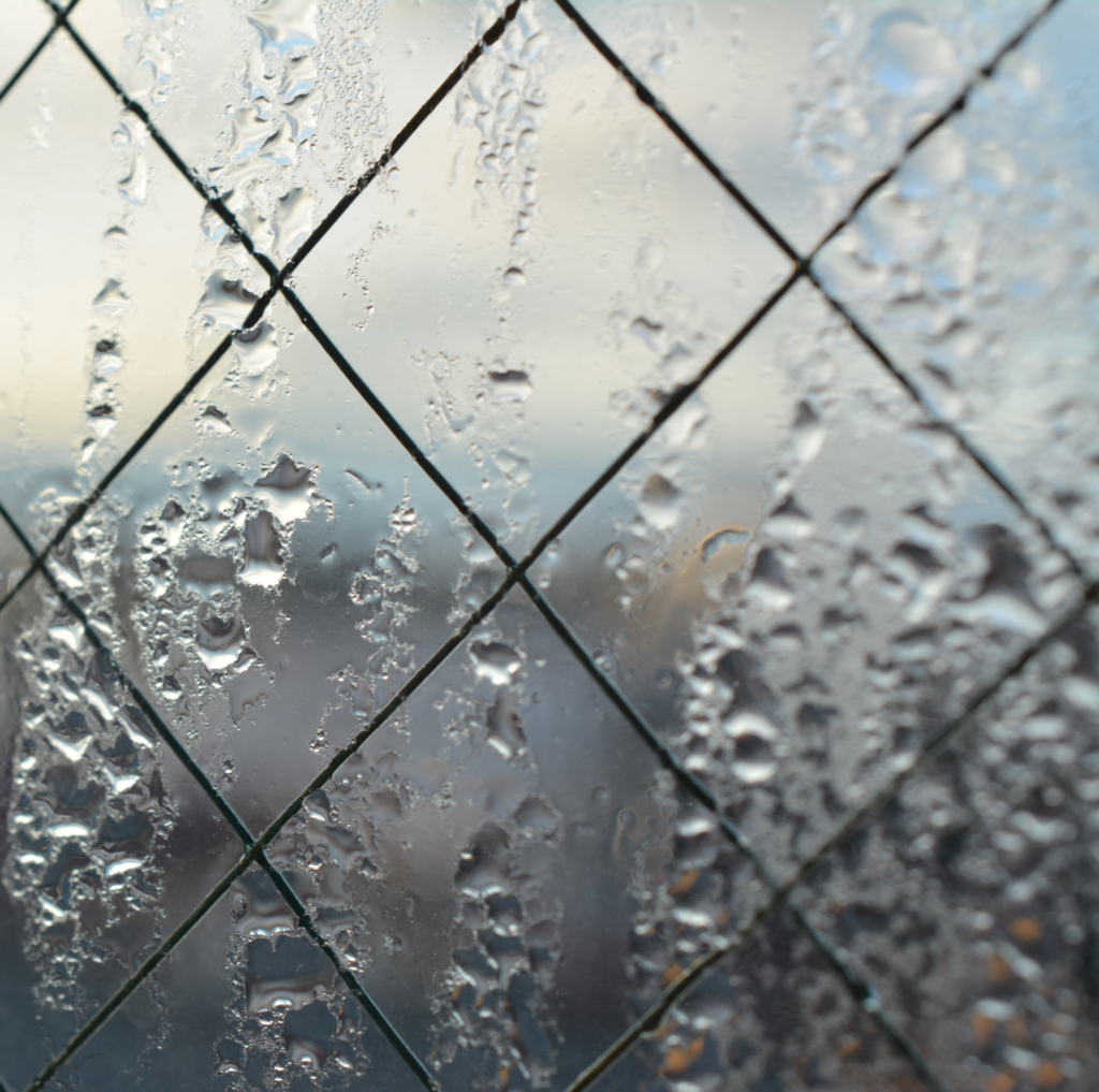 ❄️冬の結露、どう付き合う？