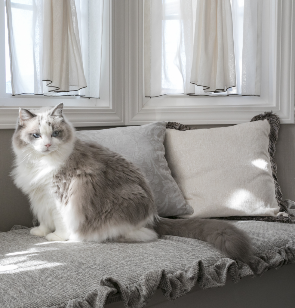 住み始めて気づく小さな幸せ🍀🏡