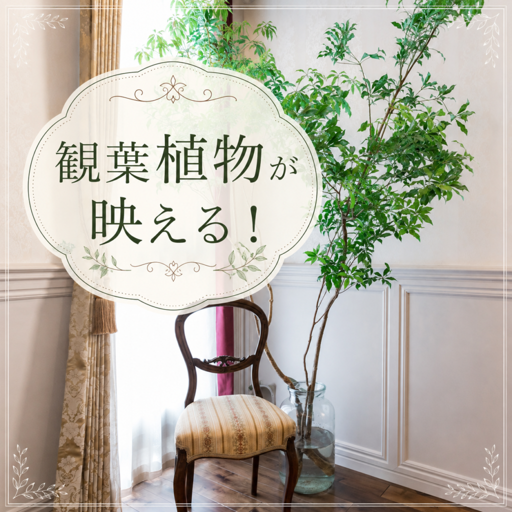 🌿観葉植物が映えるおうち