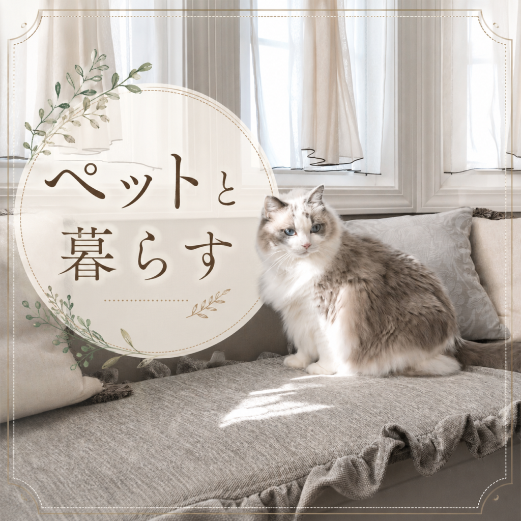 🐾ペットと暮らす家づくり🏡