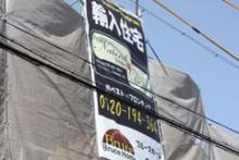 ハイジおば様のつぶやき